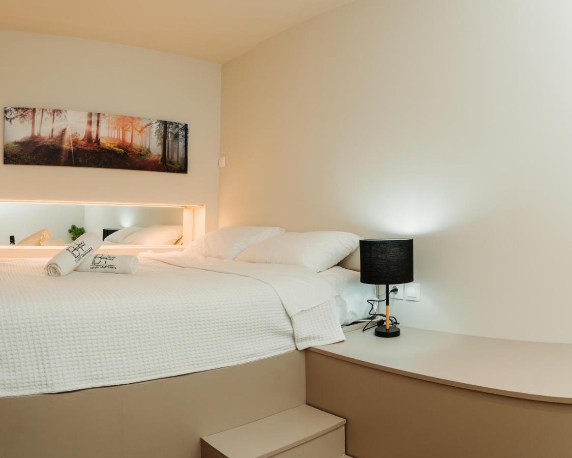 Blackhaus Family And Friends Deluxe Apartment سالونيك المظهر الخارجي الصورة